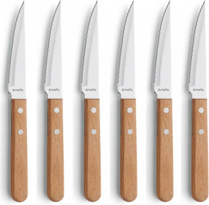 Amefa Steak Messenset 6 Delig Hout